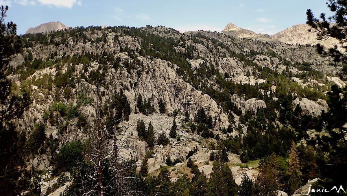 The Pared de Bozuelo: granite slabs and ribs above a boulder field and scattered pines (July 2026).