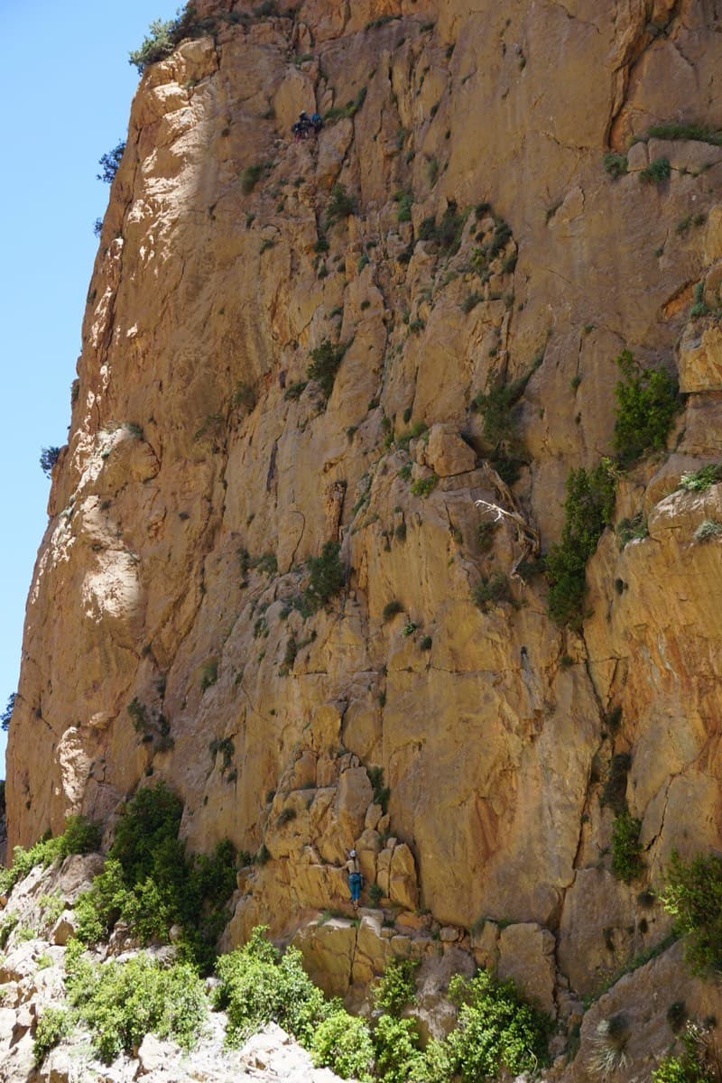 The Paroi des Sources seen from the springs path, with parties on the routes (2019): the wall rises straight out of the trees by the water.