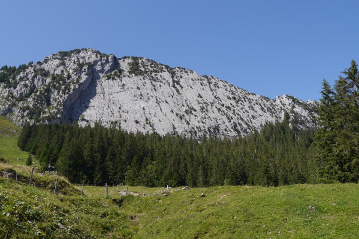 The Brüggler south face seen from the pastures of the Schwändital in the afternoon; the path climbs along the forest edge to the foot of the slabs.