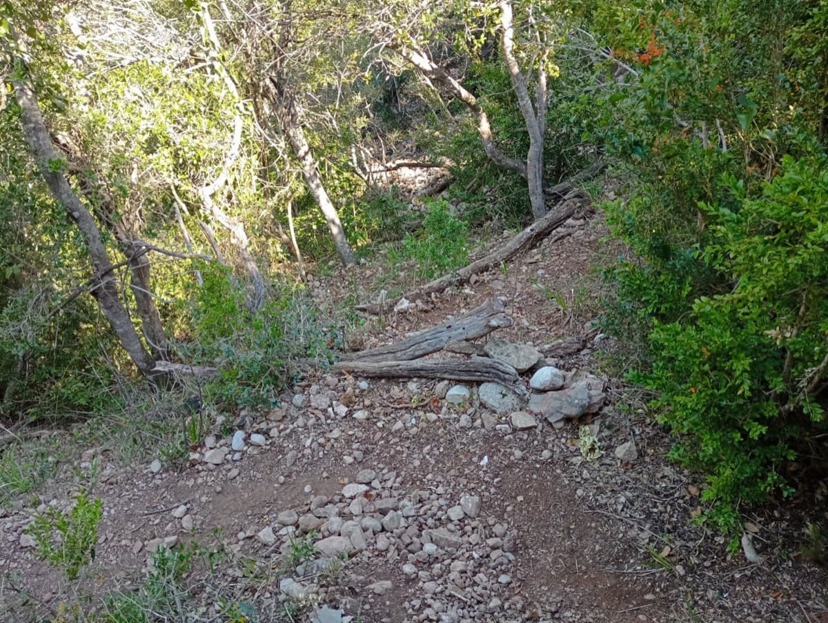 The turn-off at a bend in the descending path: the faint approach track leaves here, through the vegetation, for the foot of the routes (April 2026).