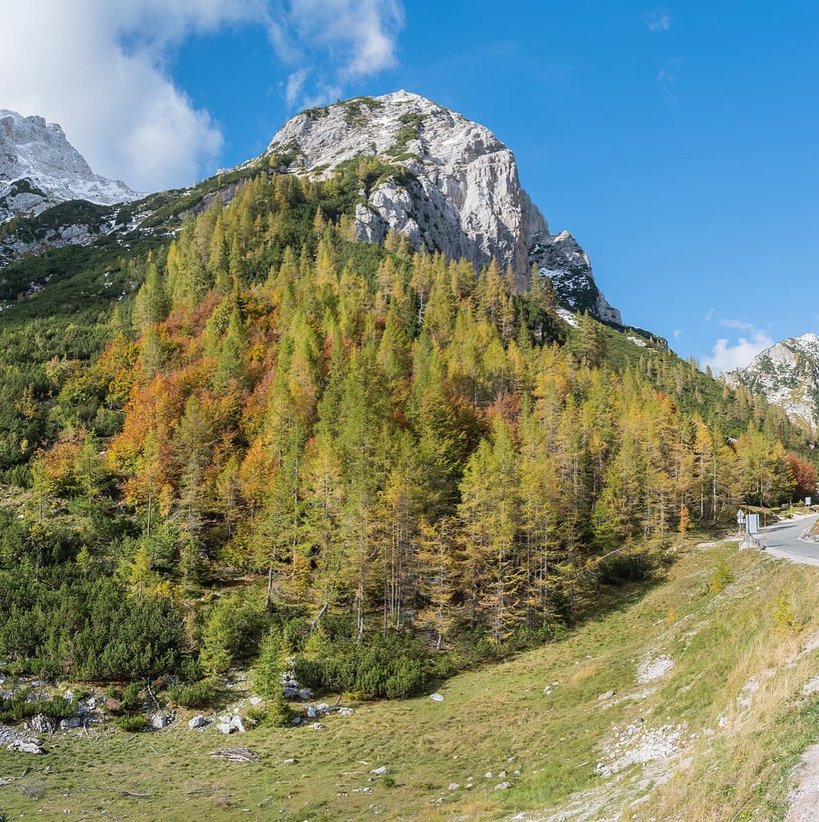 Nad Šitom glava (2,080 m) seen from the Vršič pass road: the rock face rises above the larch slopes, on the side that looks down on the pass.
