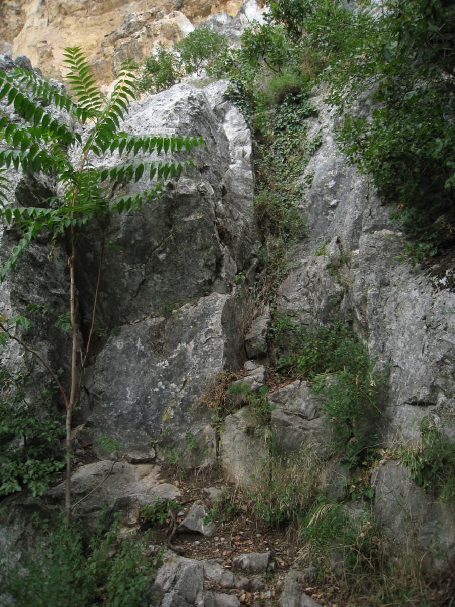 The start of Medo (belay R0): a short, slightly hidden corner in the rocky pedestal among the trees.