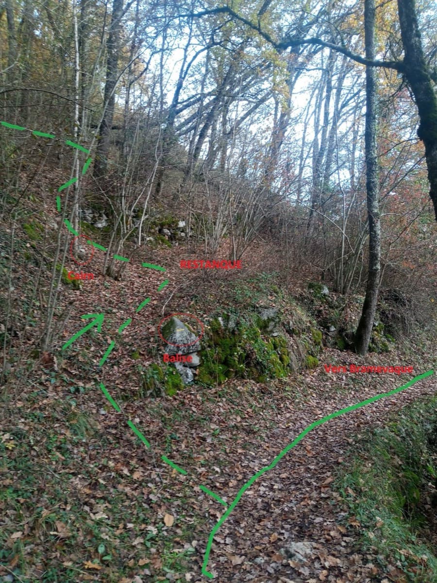 In the woods on the approach: the dashed green line shows where the track leaves the Bramevaque path and climbs to the terraces.