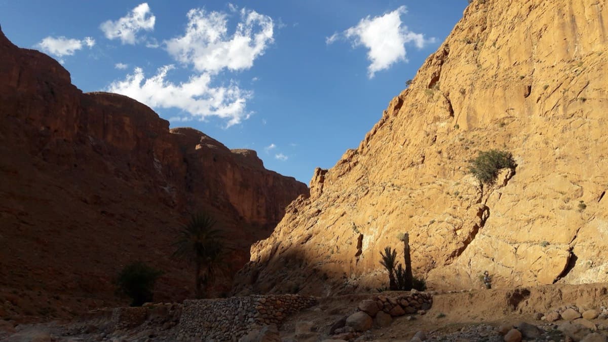 From the river bed north of the gorge: the sunlit wall above the palms is the Jardin d'été sector, and the Mur du Scorpion is the shaded wall behind on the left.