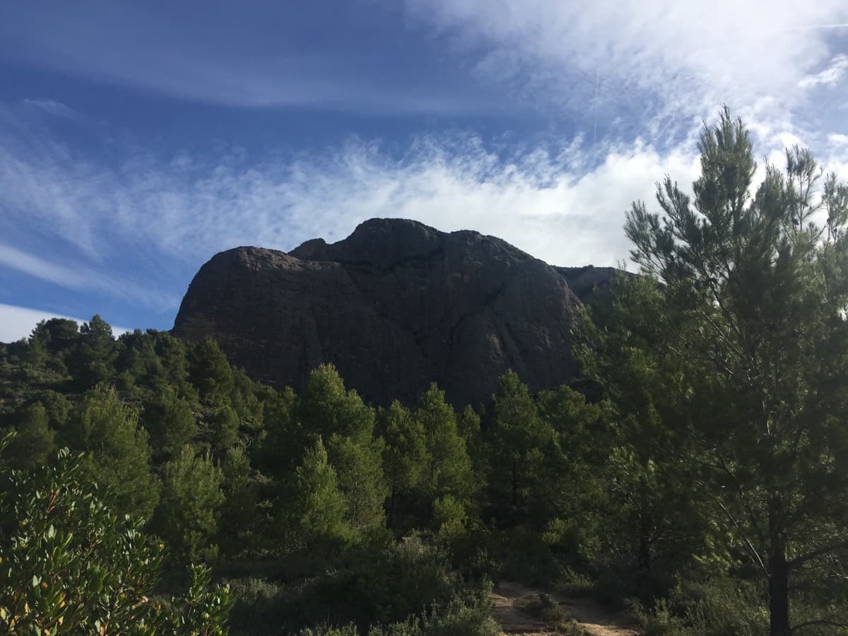 Peña Rueba ahead through the pines on the walk-in from the parking (backlit morning view, April 2023).