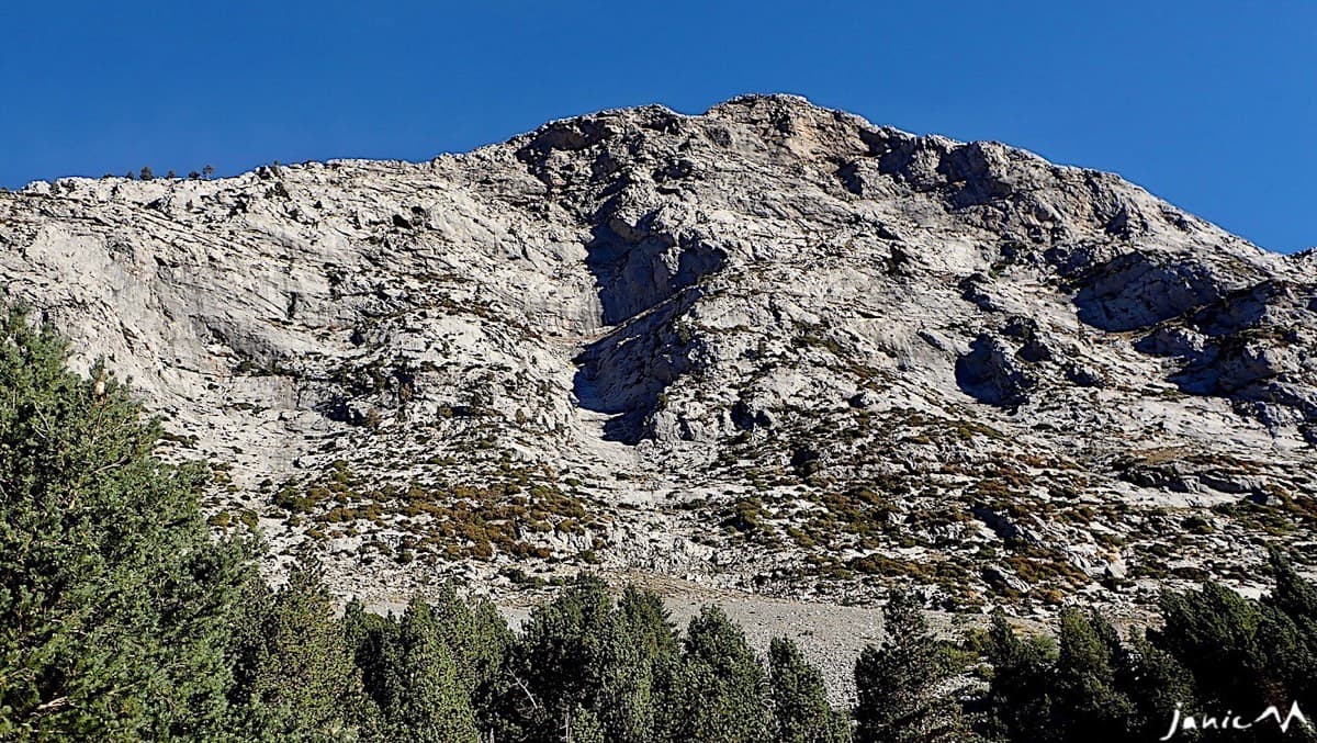 Approaching the gully in the south face of El Tobazo (September 2026): above the pines the scree leads up to the slabs where the route starts.