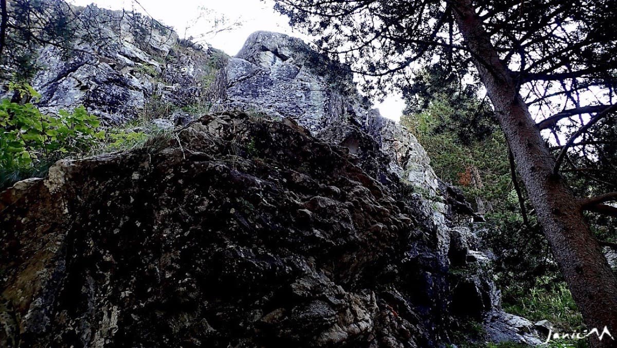 The foot of the route among the pines (August 2021).