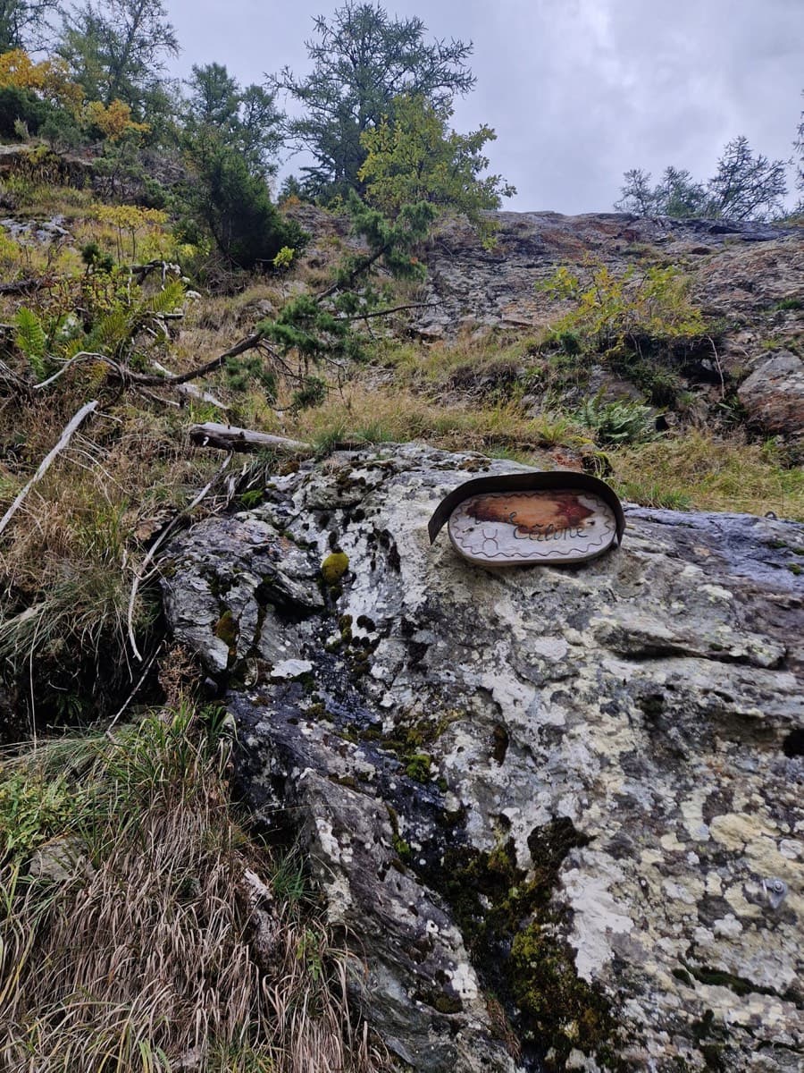 The start seen from the path: a small painted plaque with the name "Câline" on the rock (October 2025).