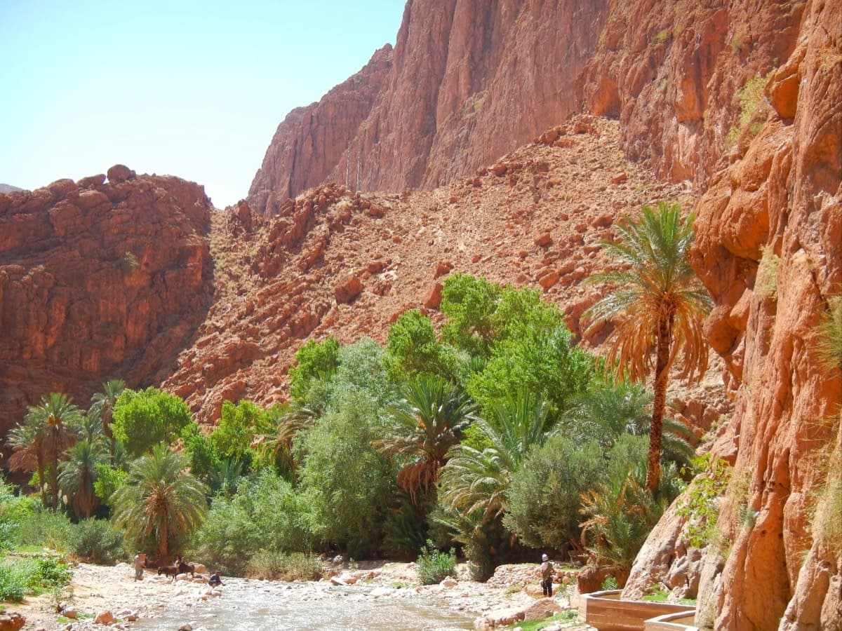 The alternative access from Plage Mansour at the gorge entrance: from the stream and palm grove you go up the boulder slope and follow the foot of the cliffs towards the Paroi du Levant.