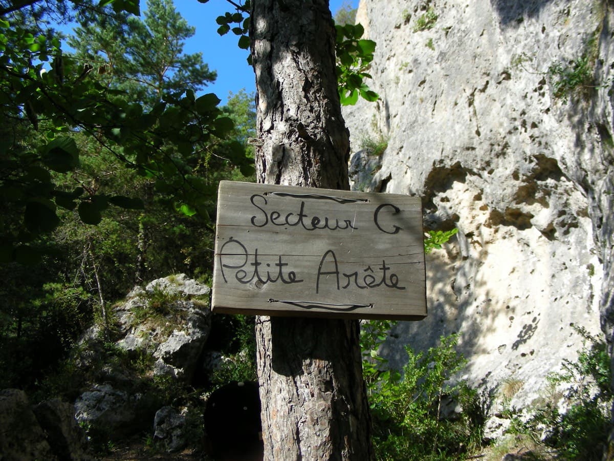 The wooden sign 'Secteur C – Petite Arête' on a tree on the walk-in: follow it towards the foot of the ridge.