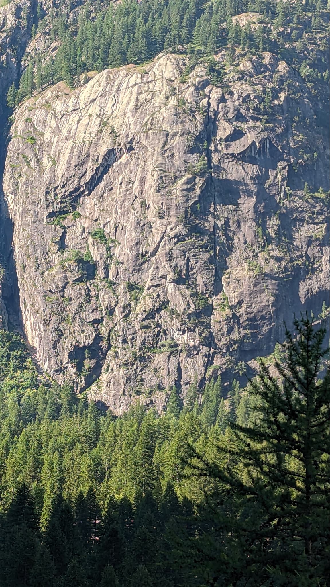 The granite dome of the Paroi de la Fissure above the forest at Ailefroide, split by the vertical crack that names it; À tire d'ailefroide is on this wall.