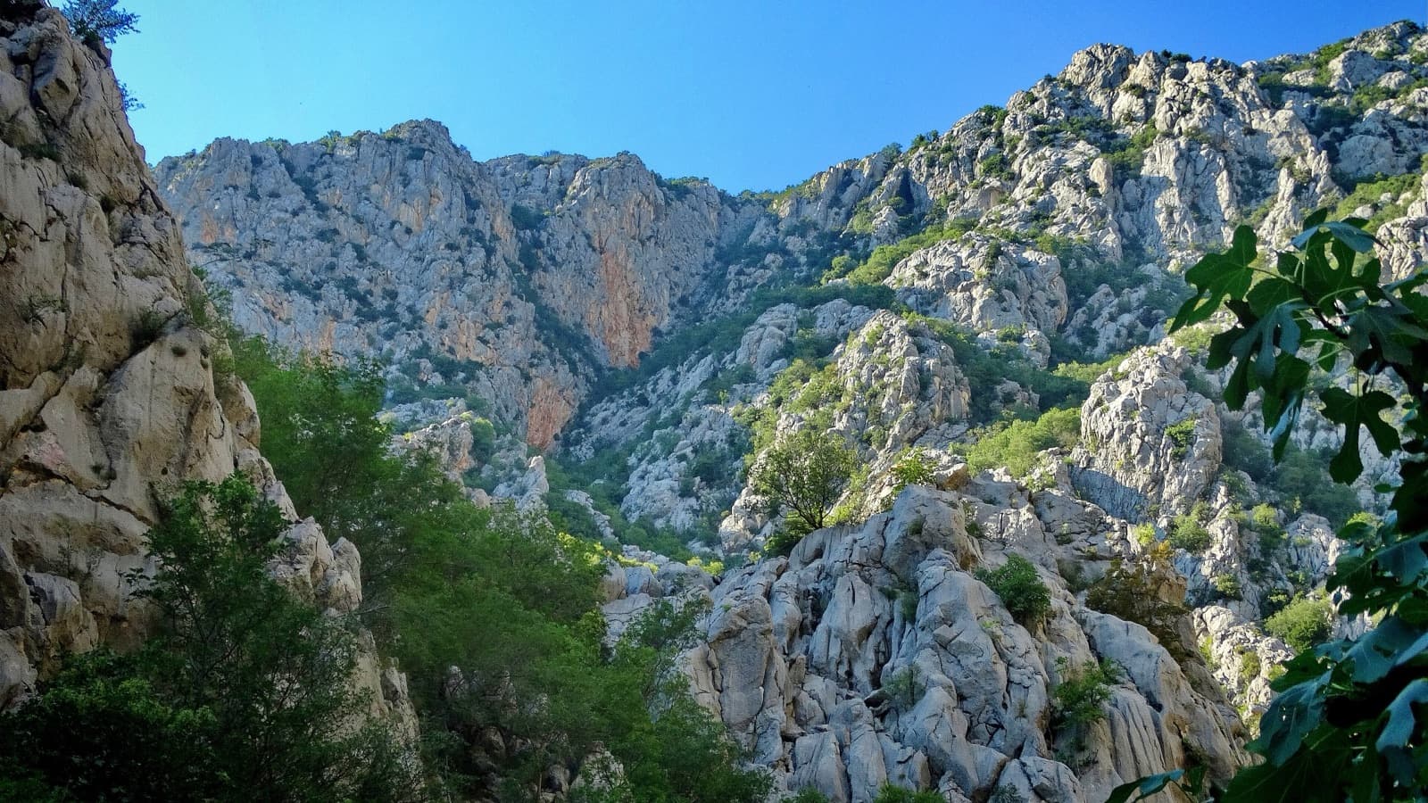 Orange-streaked limestone walls of the Velika Paklenica canyon seen from the opposite side; Debeli kuk is one of the walls of this canyon, but the source does not name the face shown.