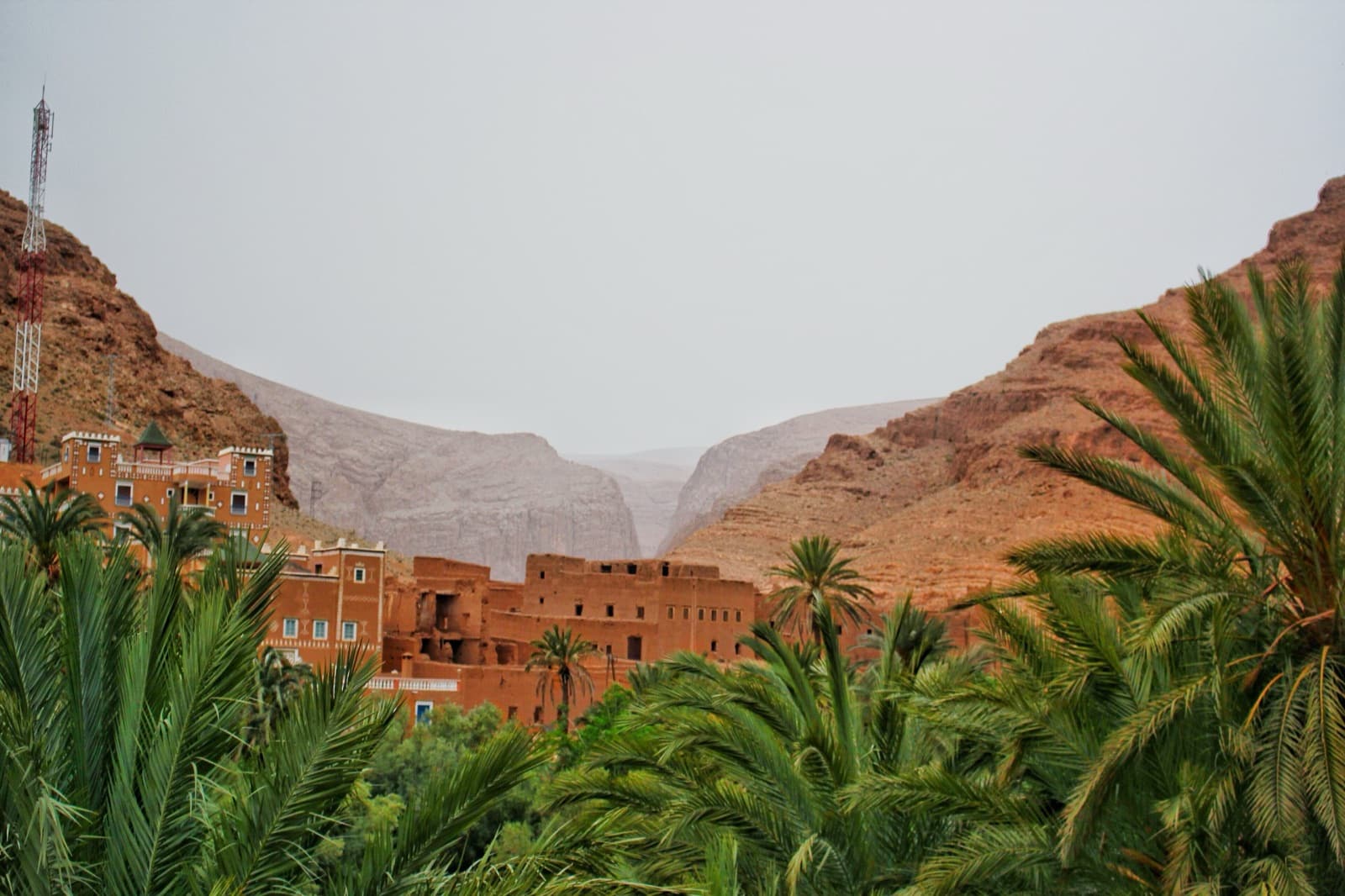 Palms and a kasbah-style hotel at the entrance to the Todra Gorge, with the canyon walls closing in behind; a view of the setting, not of this route's wall.