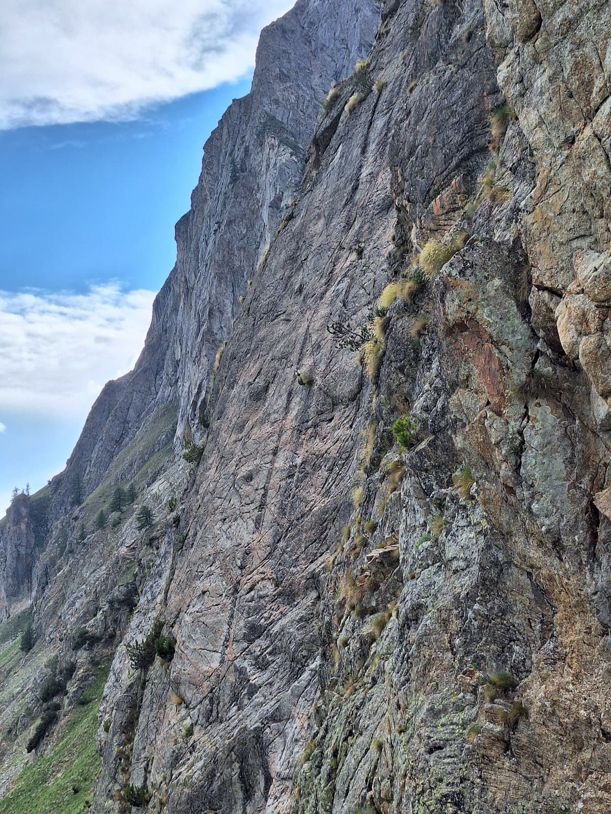 The steep granite of the Pilier Franco Salluard seen in profile from its foot, Val Ferret; the photo was taken for the neighbouring route Lockdown.