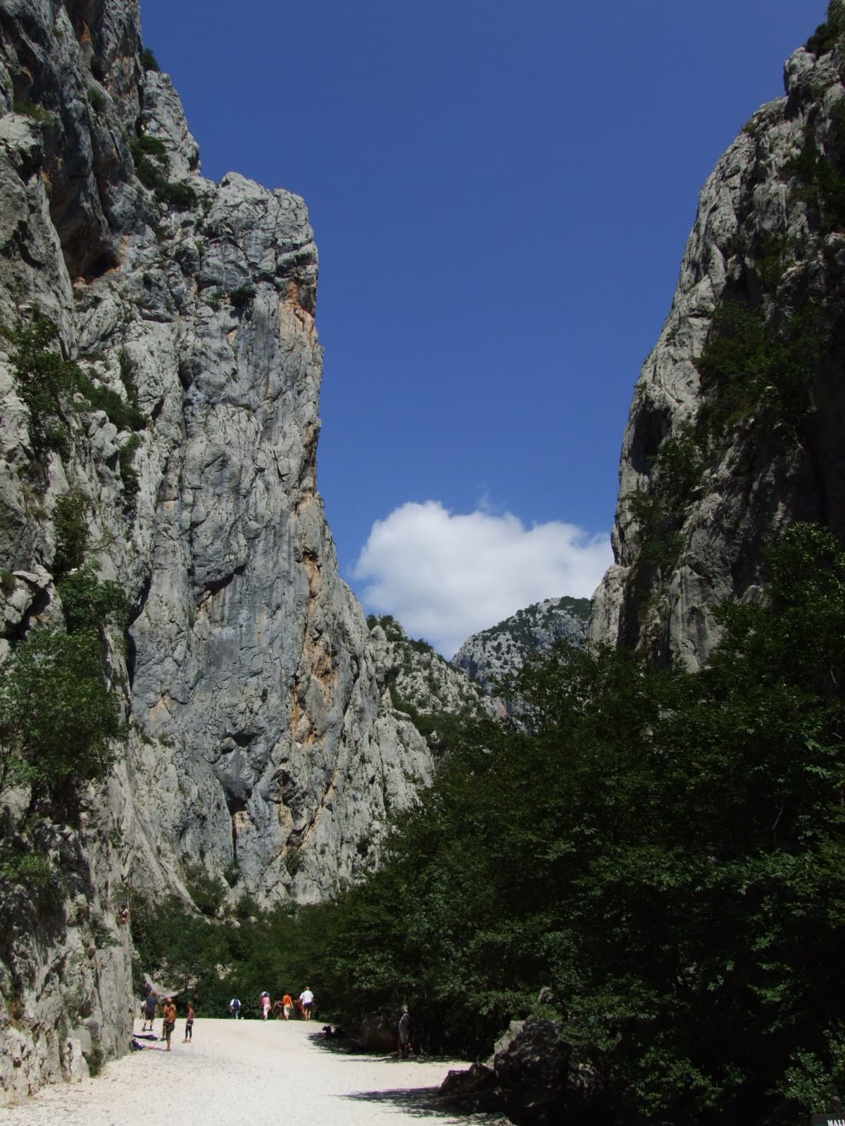 A view of the region, not this route's wall. The limestone walls of the Velika Paklenica canyon near its entrance.