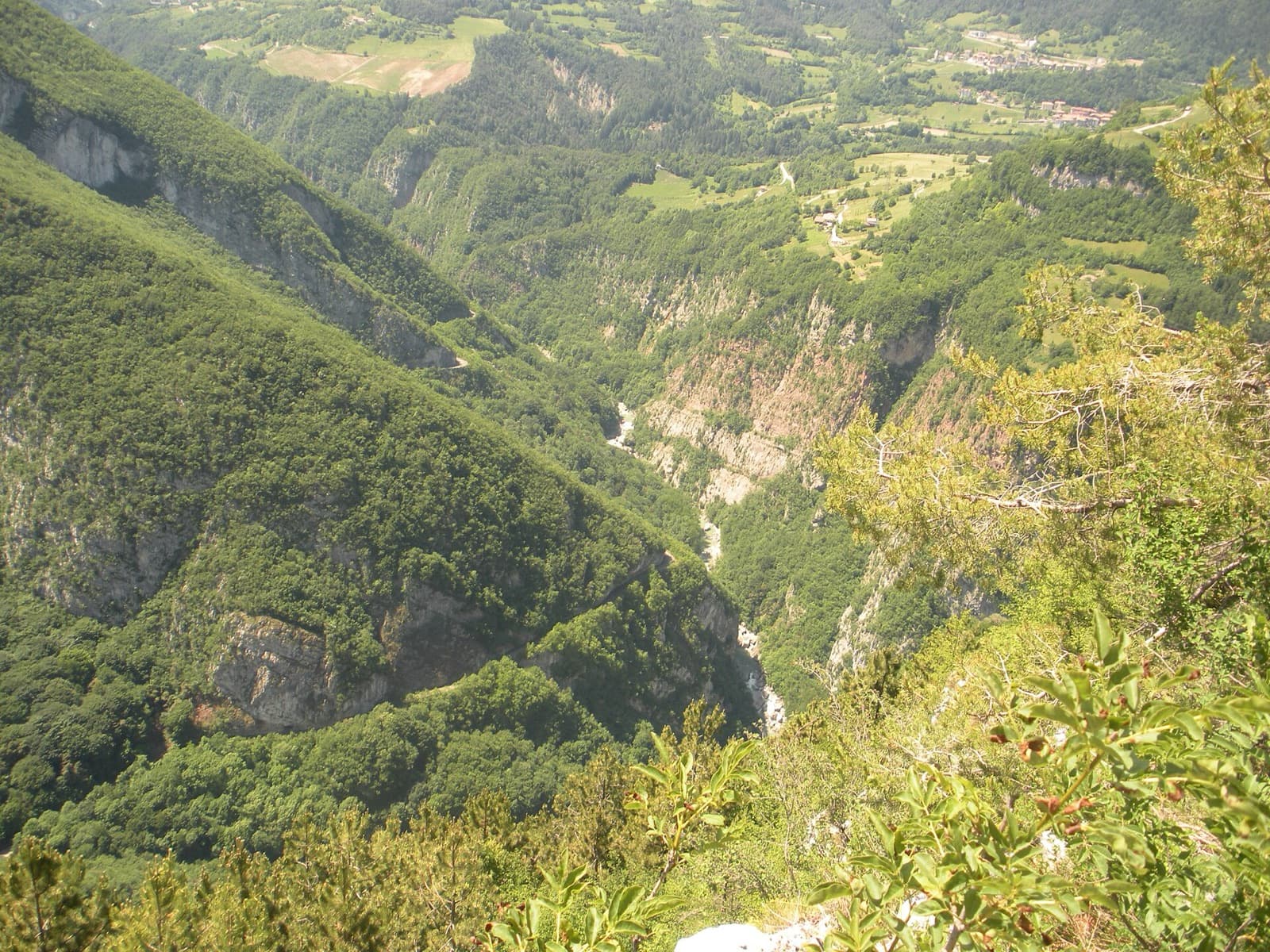 The wooded Limarò gorge of the Sarca, upstream of Sarche; the Parete del Limarò of the Piccolo Dain stands at the gorge's lower end, outside this view.