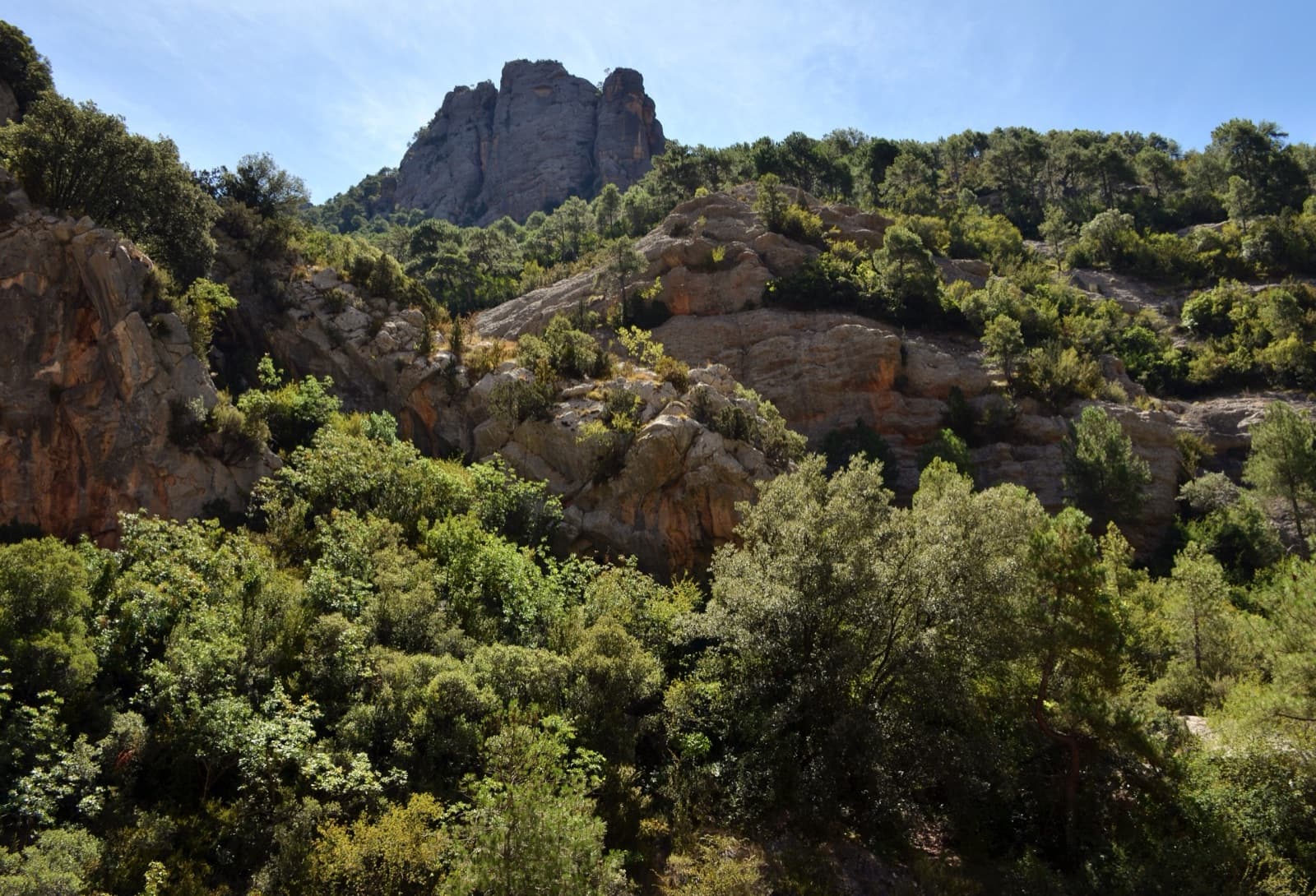 A view of the region, not this route's wall. Conglomerate towers and red walls in the Congost de Collegats, the gorge of the Noguera Pallaresa where the Paret del Pessó stands (this view does not show the route's wall).