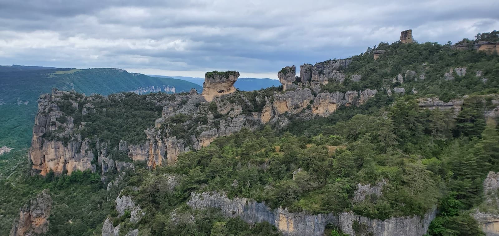 The cliffs and rock towers of the Jonte gorge seen from the top of Zébulon.