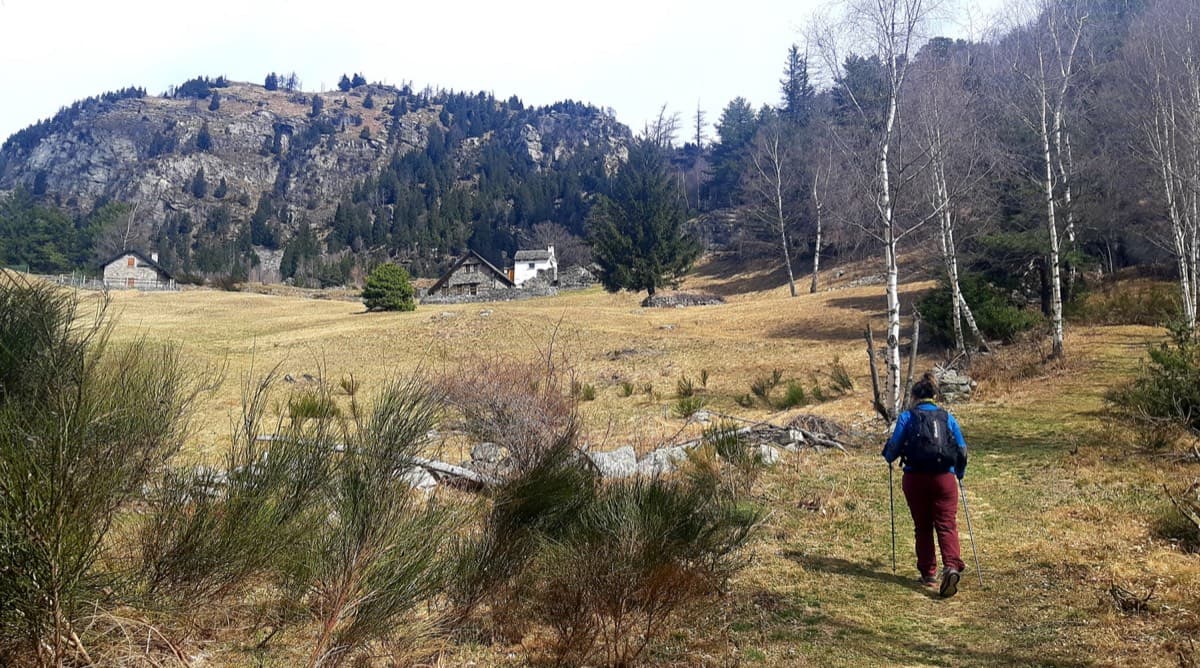 Alpe Gorta above Crevoladossola, with the rocky outcrops behind the huts