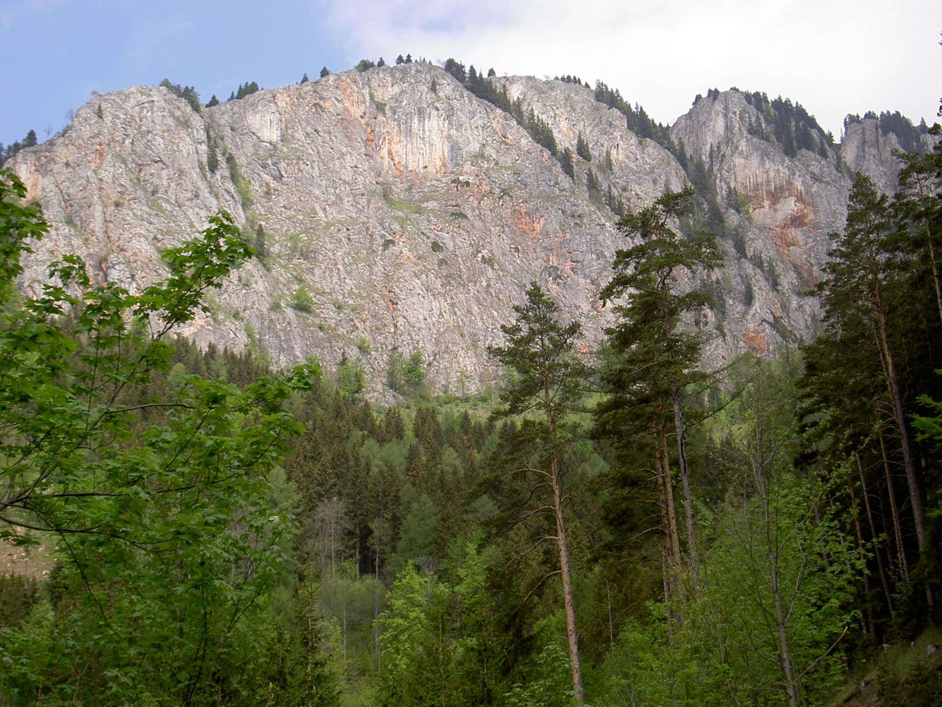 The Rote Wand above Tyrnau in the Grazer Bergland; Hühnerleiter follows the ridge at the left-hand end of the wall