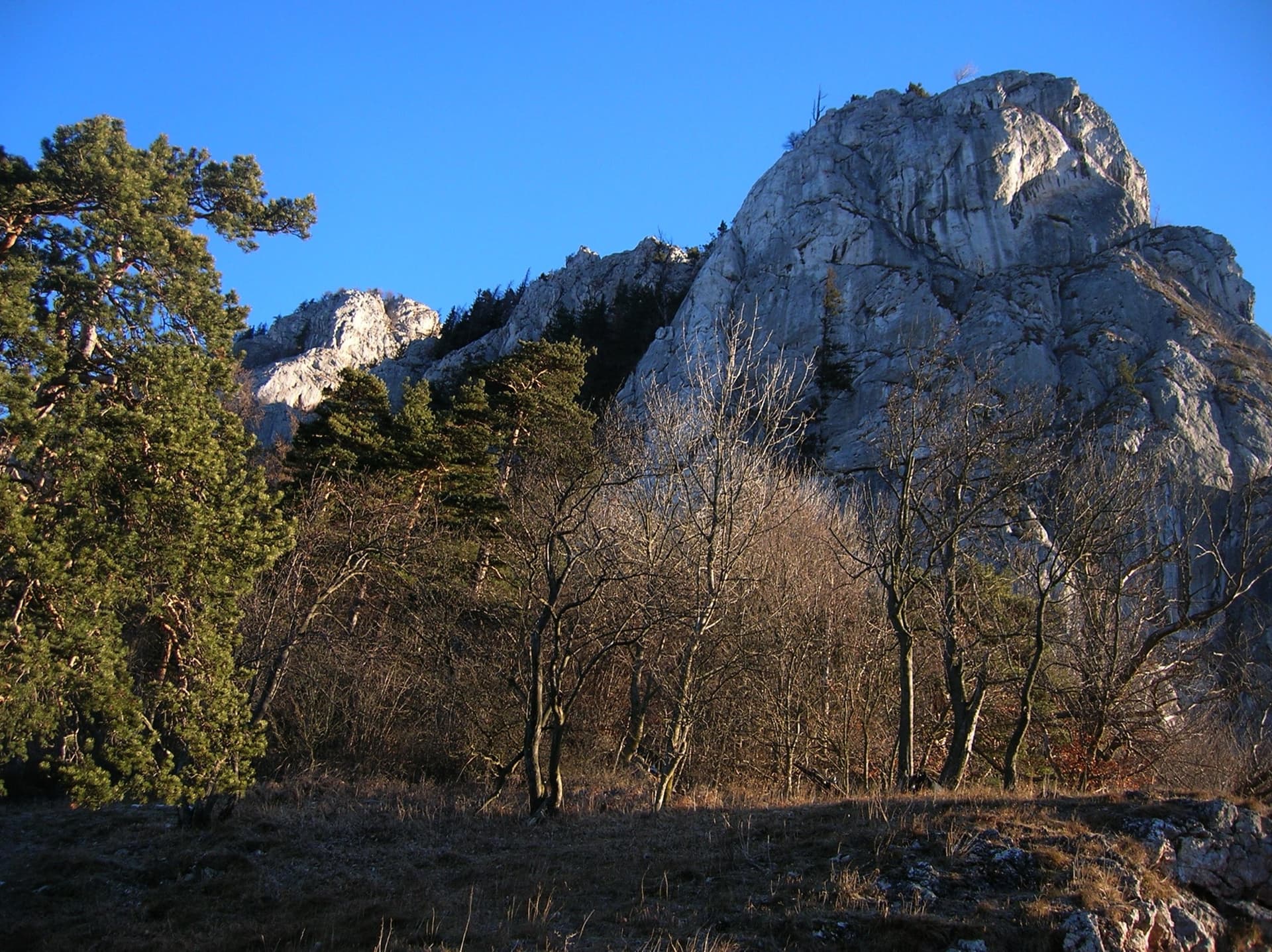The rock towers of the Ratengrat on the Röthelstein above Mixnitz, where the first half of the route climbs