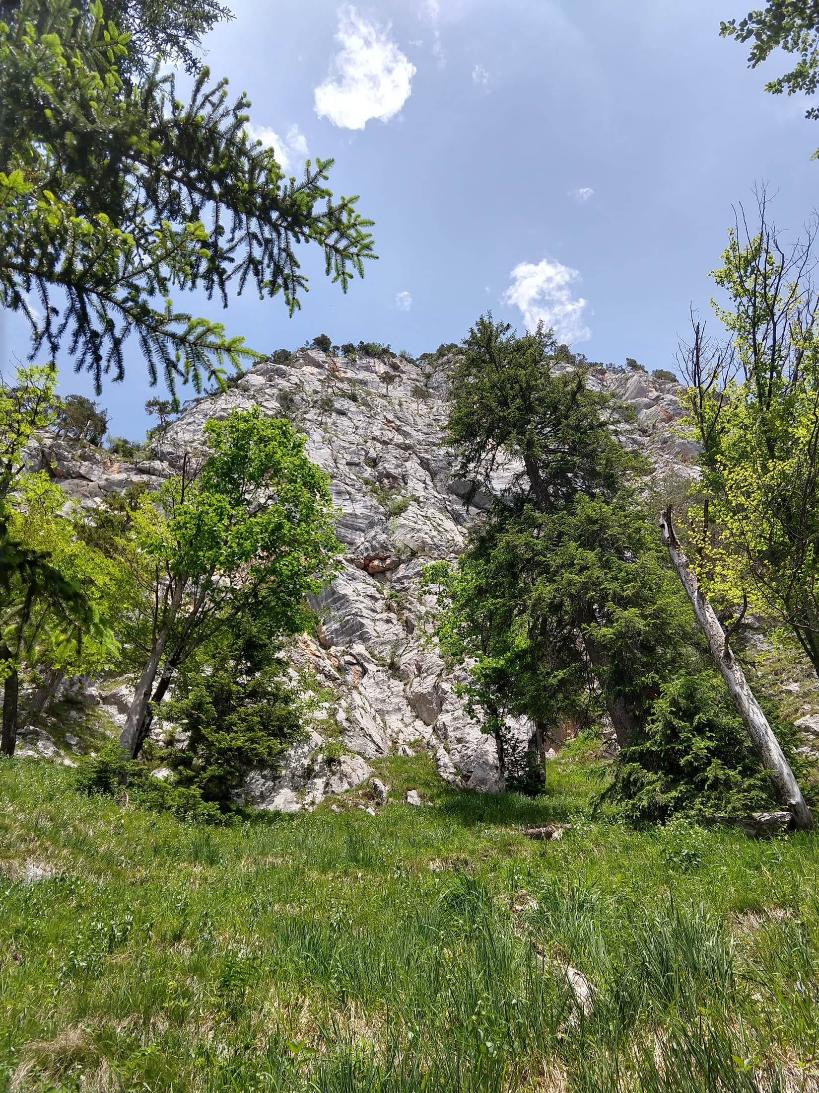 The south-west wall of the Rabensteinhorn seen from the meadow at its foot
