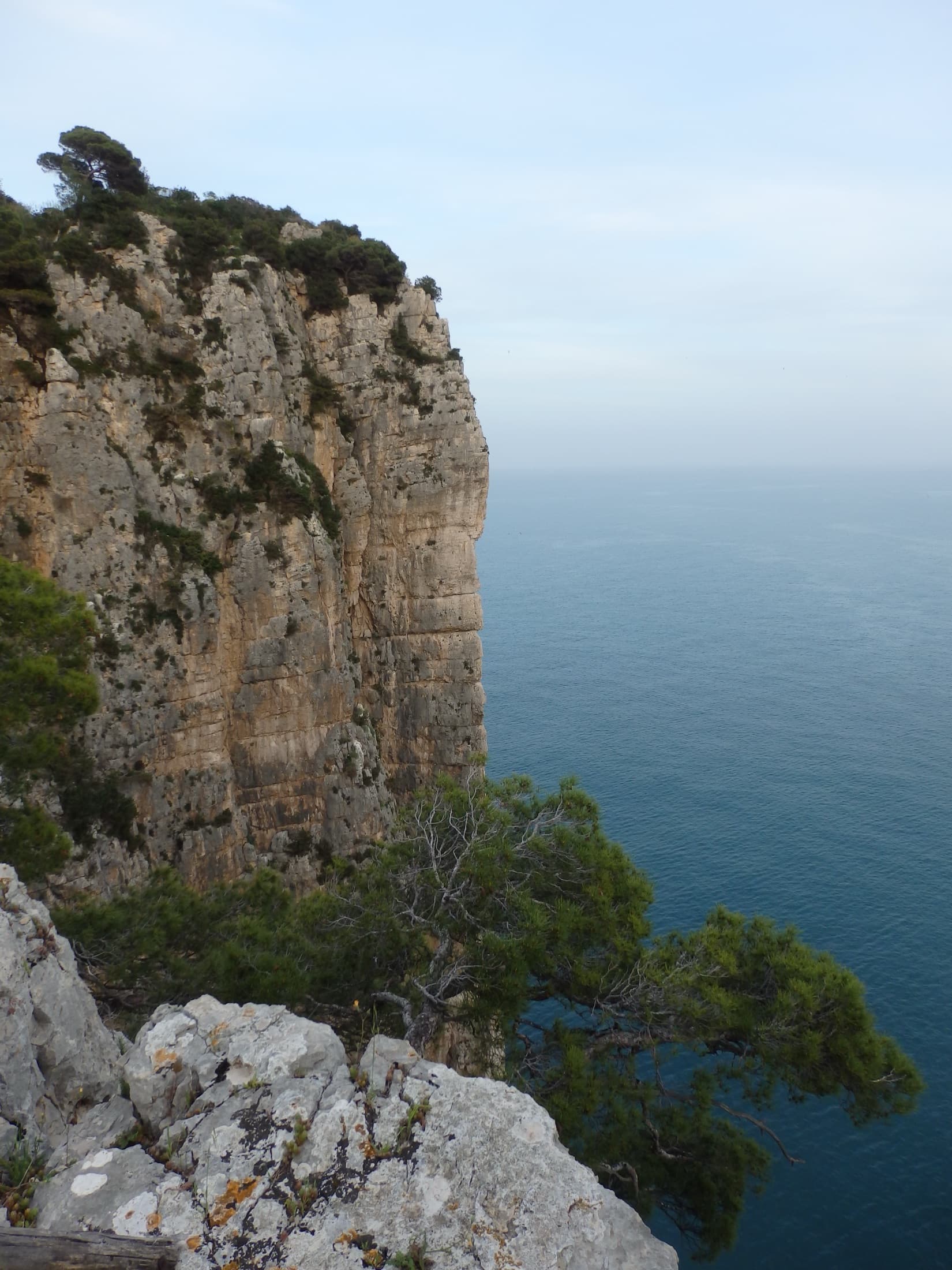 The limestone sea cliff of the Montagna Spaccata on Monte Orlando, Gaeta, seen from the park path. Via Beatrice is on these cliffs; the line is not marked.