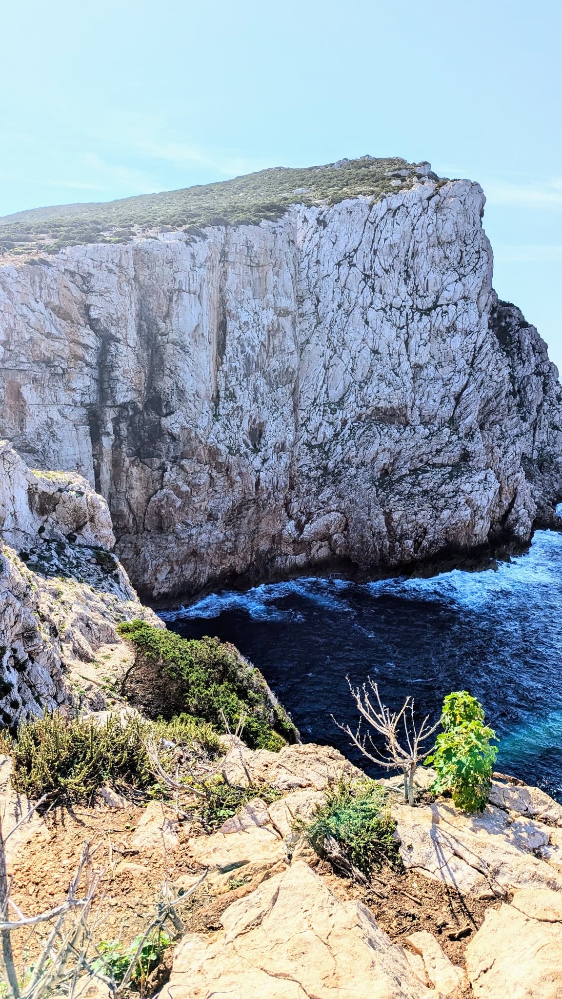 The north-facing sea cliff of Capo Caccia, seen from the cliff top