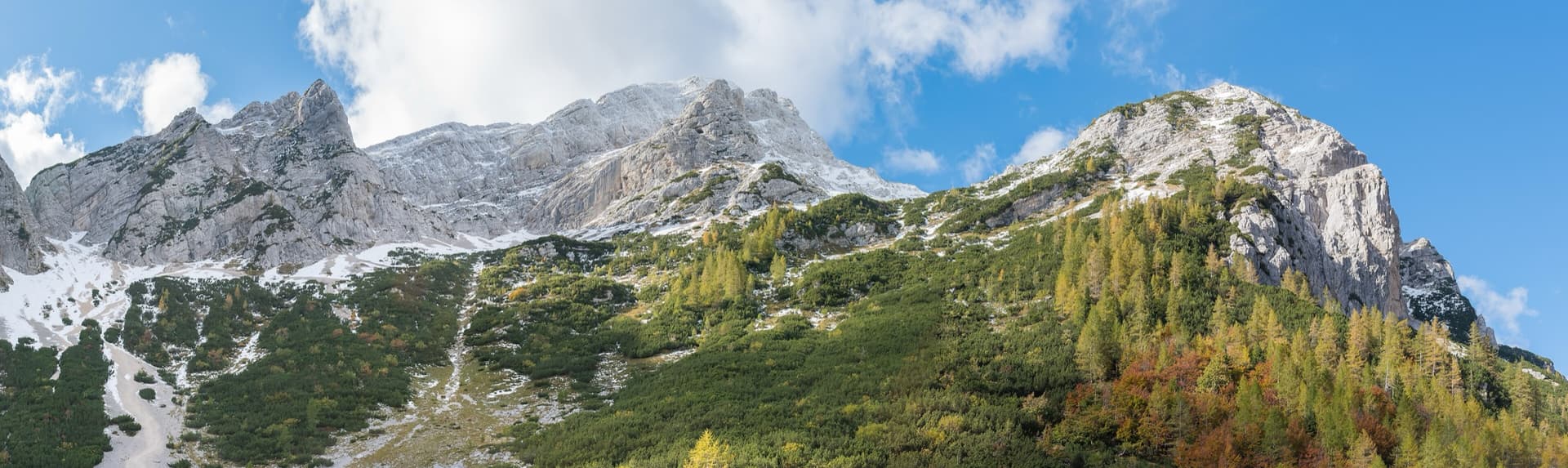 Mala Mojstrovka (left) and Nad Šitom glava (right) from the Vršič Pass; the routes are on the pale wall of Nad Šitom glava above the larches. The line is not marked.
