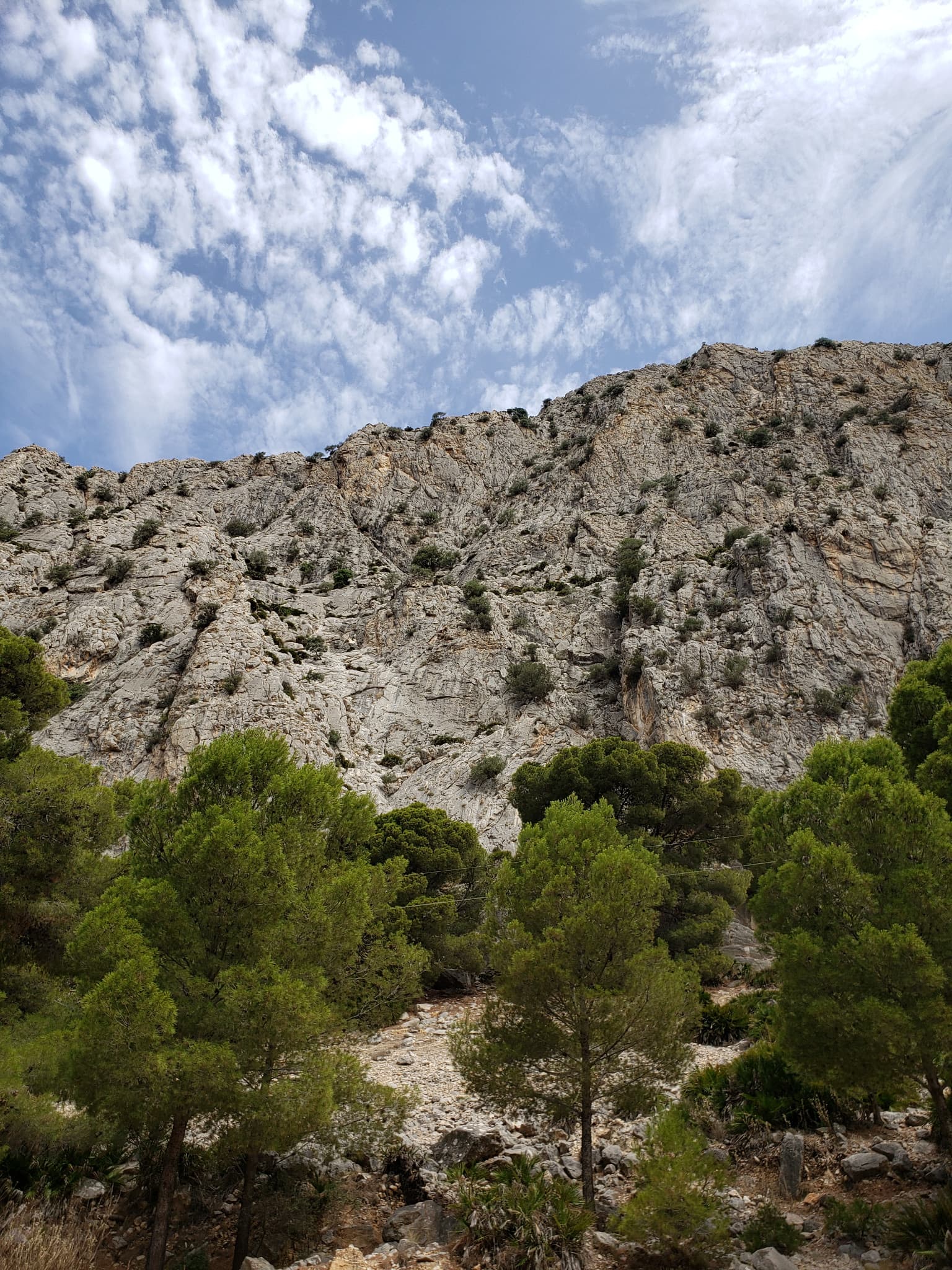 The wall of the Escalera Suiza sector at Escalera Árabe, El Chorro, photographed on an ascent of the neighbouring Blue Line. The line of Los Arcángeles is not marked.