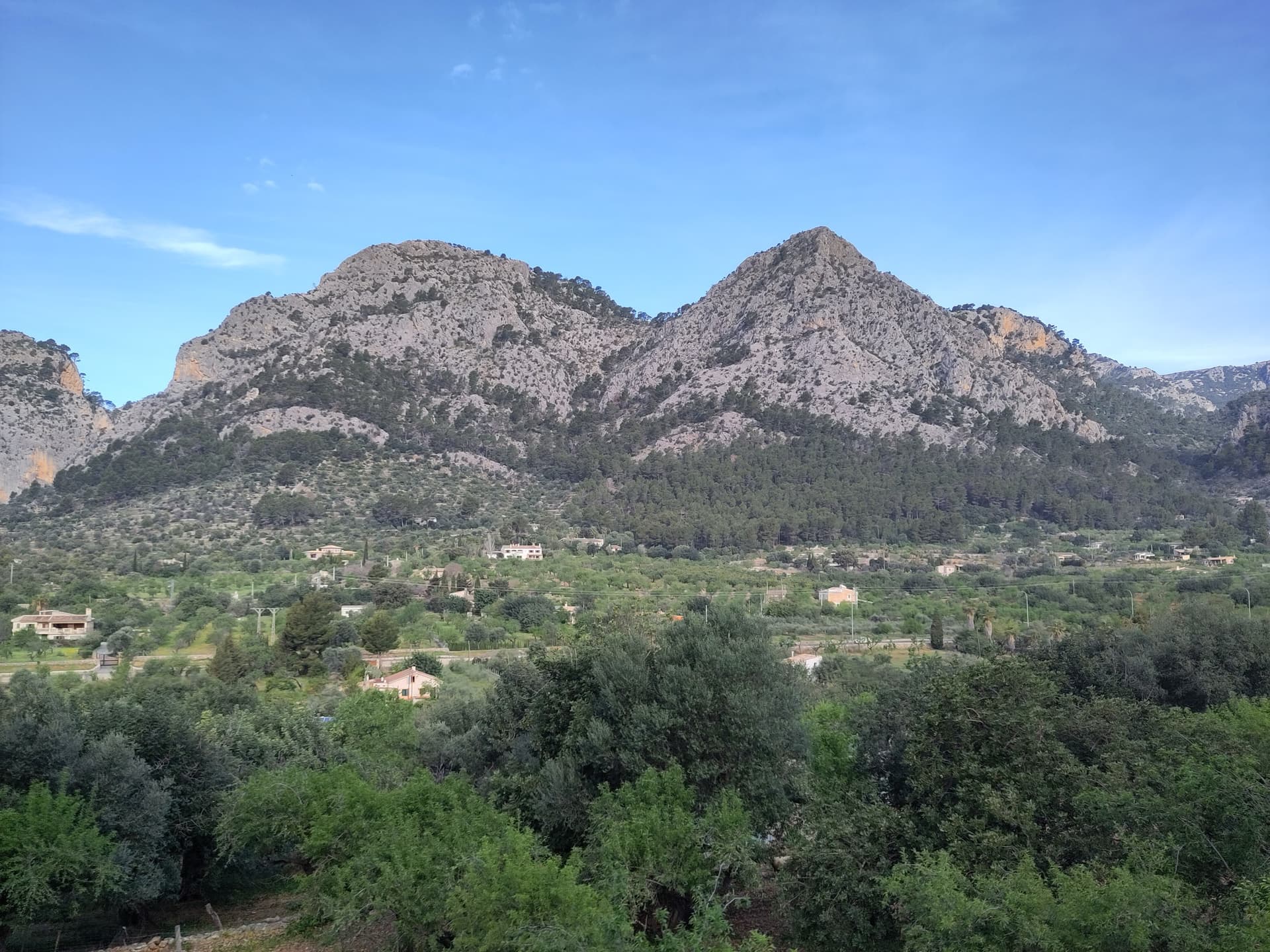 The Puig de Son Nasi (left) and the pointed Puig de s'Alqueria, the Sa Gubia peak, seen from the Sóller railway to the east. The climbing walls are out of sight in the gorge on the far side.