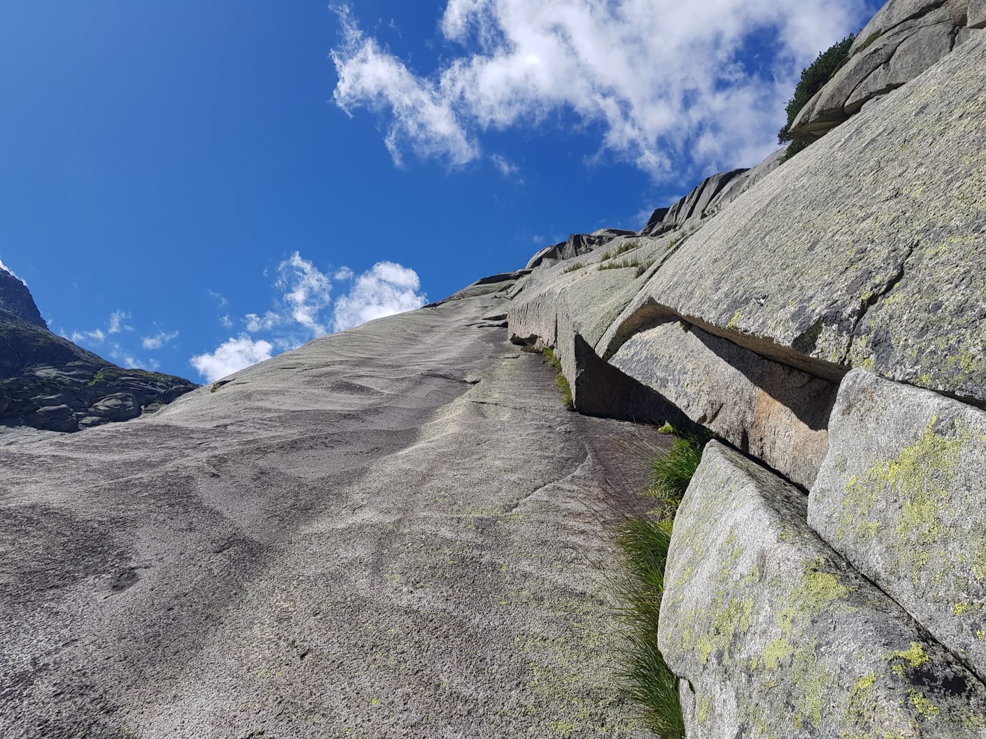 The long, low-angle corner of Foxie