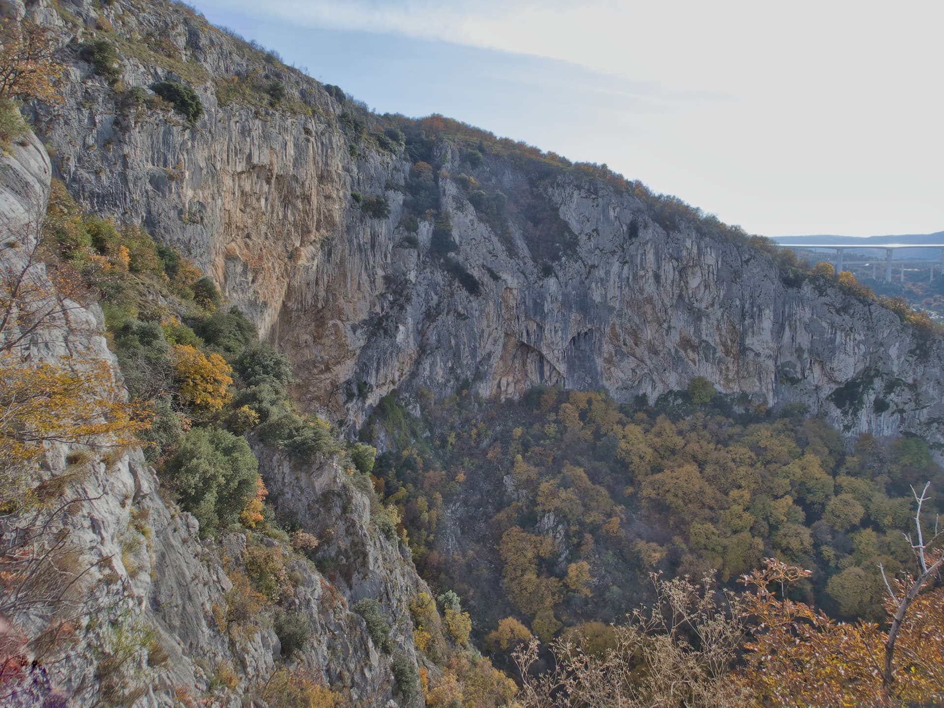The Velika stena, the big wall of the Osp collapse doline, seen along its length from the rim in autumn; Medo is on the right side of this wall.