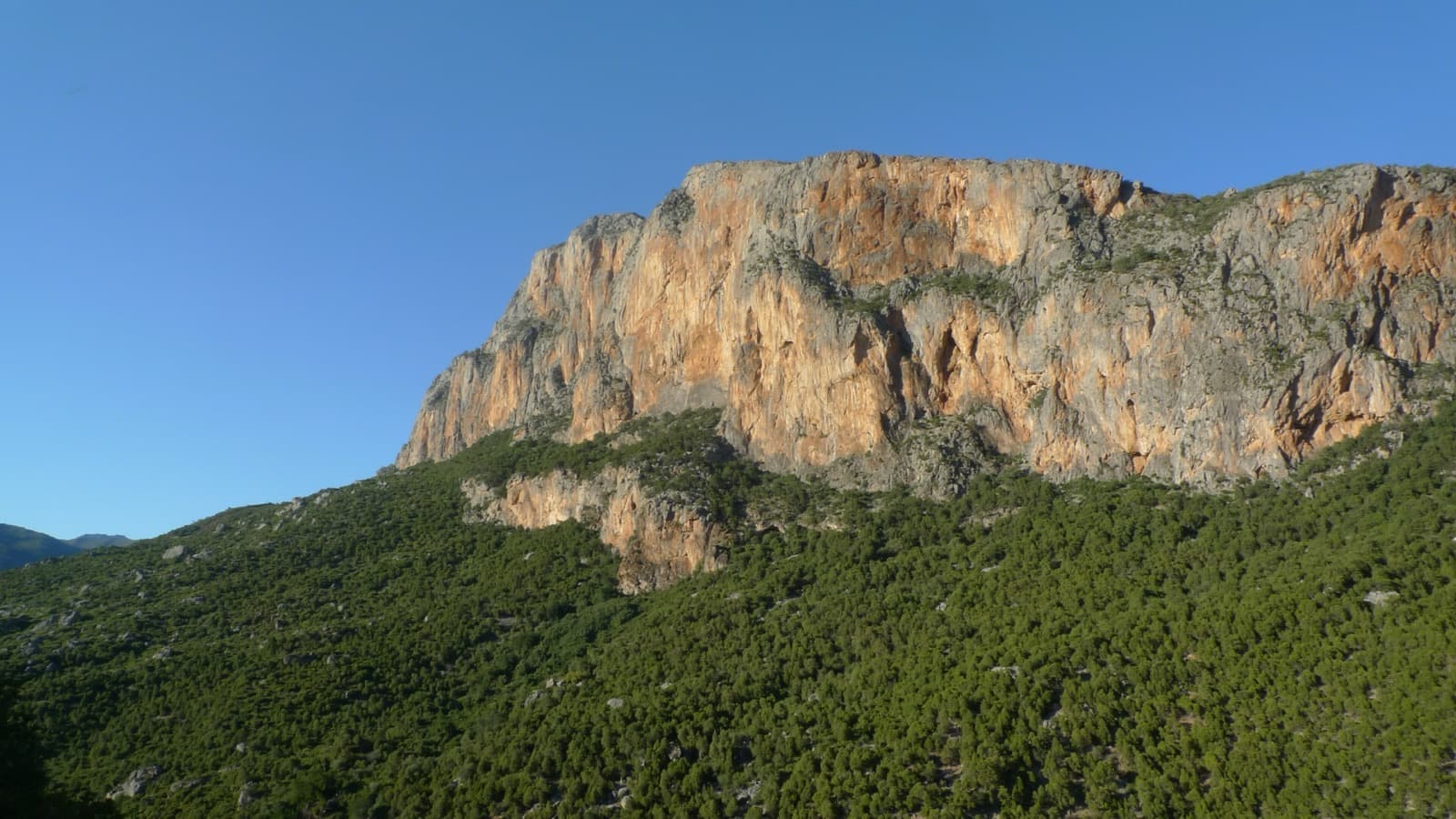 An orange and grey limestone cliff above the forest at Akchour in the Rif.