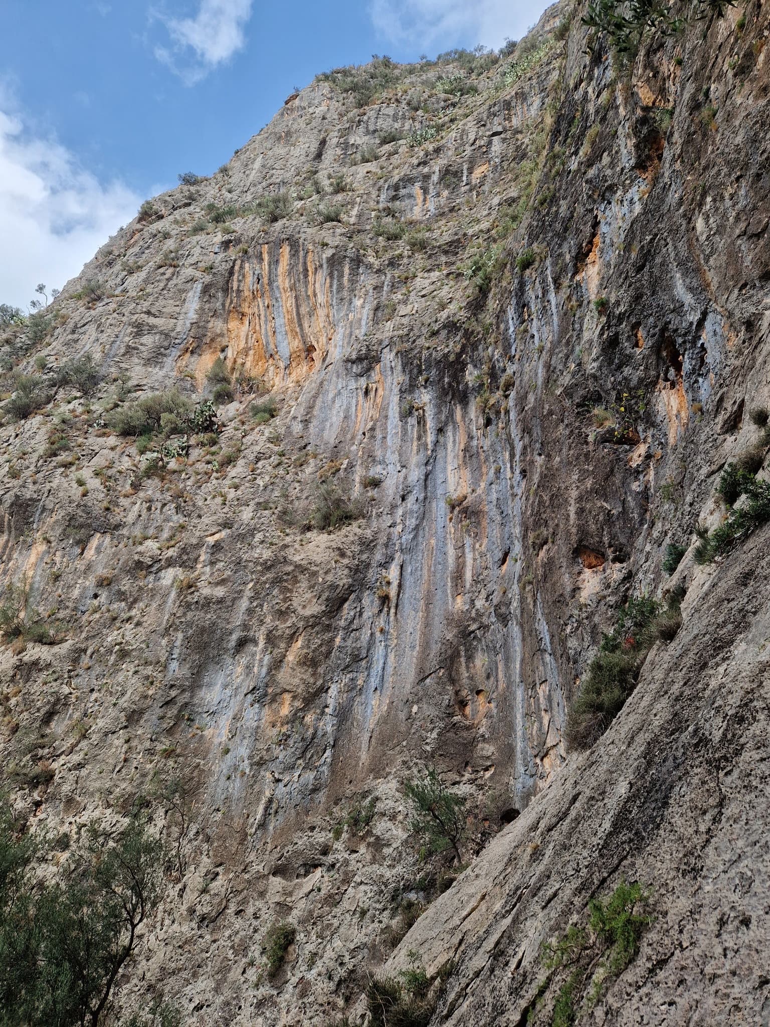 The back wall of the Princesa sector at Sa Gubia, looking left from the start of Sol Solet in October 2024. Princesa climbs this wall immediately left of Sol Solet; the line is not marked.