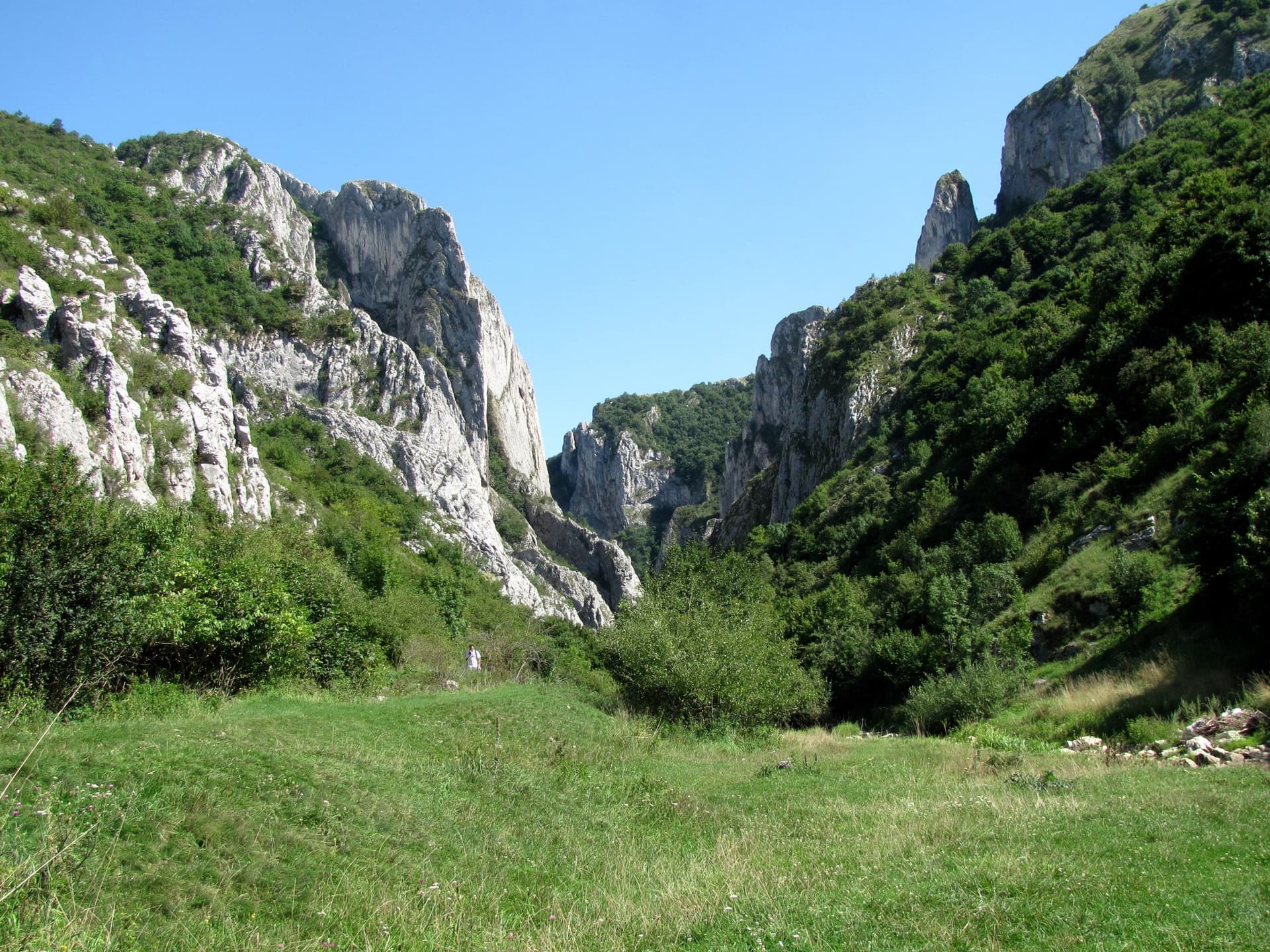 Cheile Turzii seen from the Petreștii de Jos entrance, with the limestone walls of the gorge