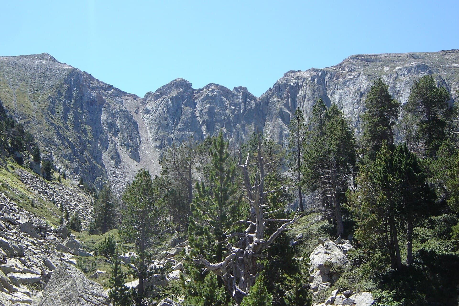 The rock walls of the Cambre d'Aze cirque above the pines in summer.