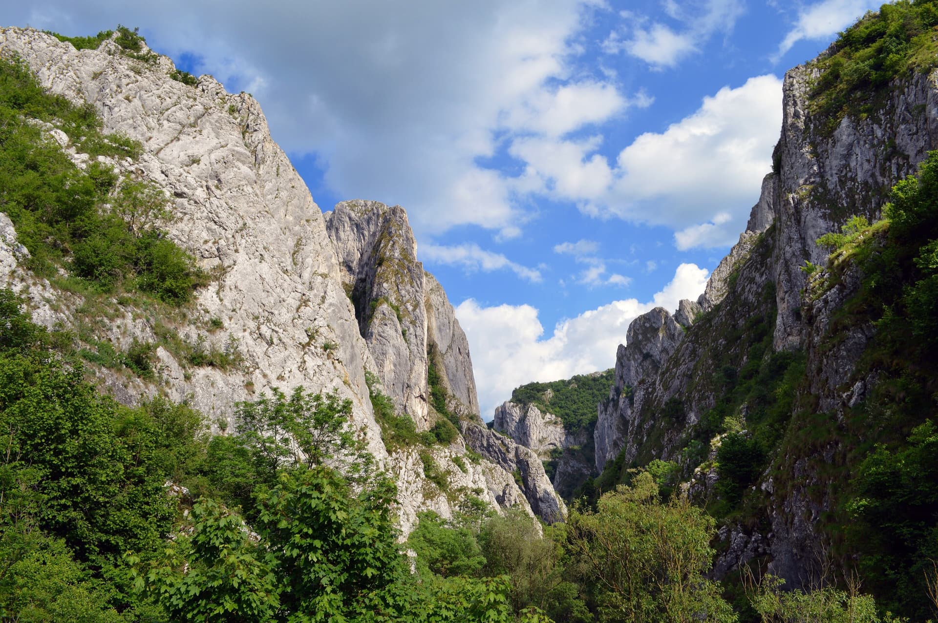 Looking east through Cheile Turzii, with the gorge's limestone walls rising on both sides under a spring sky.