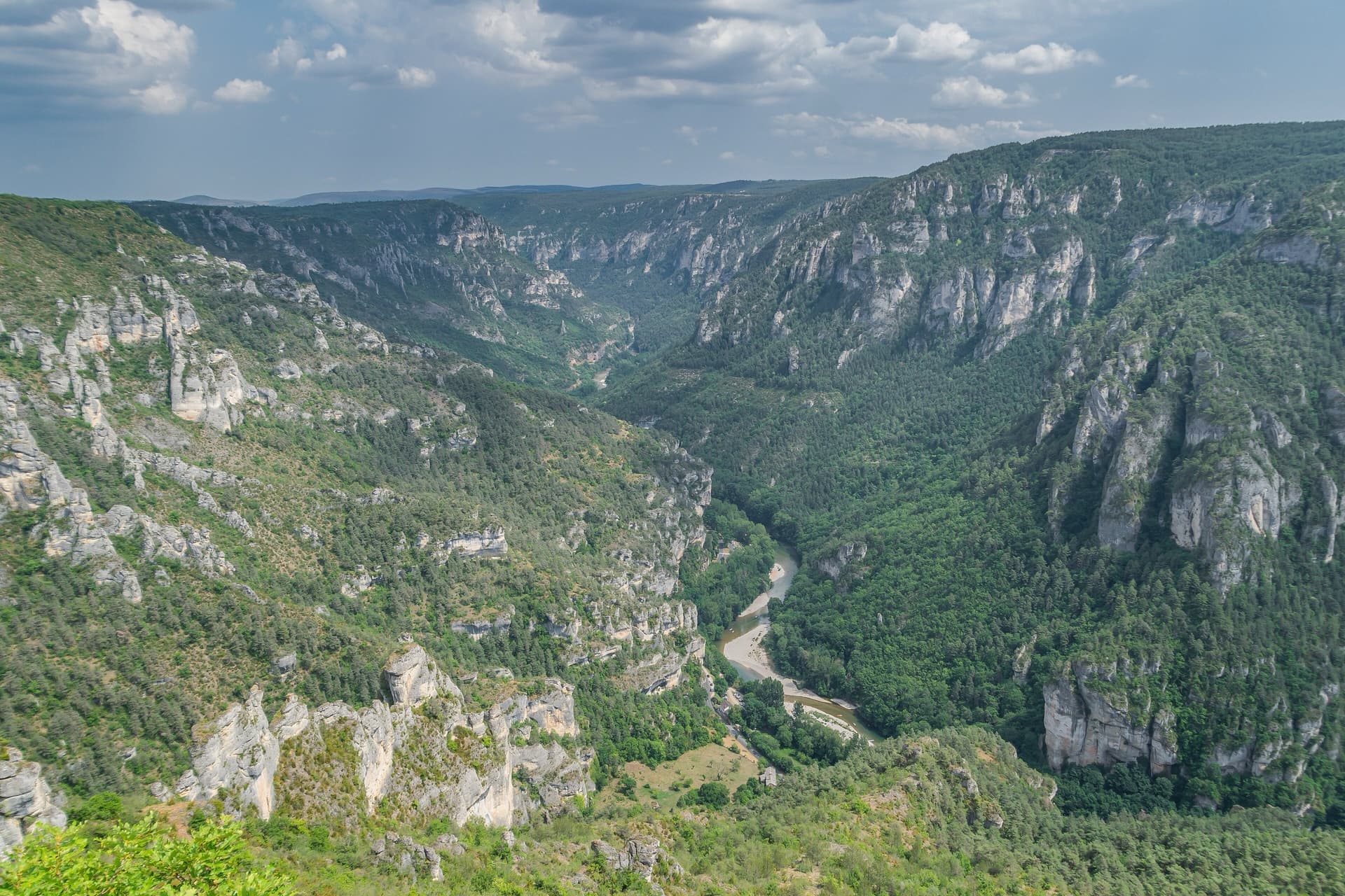 The Gorges du Tarn from the Point Sublime on a July afternoon, limestone walls and towers lining both sides of the canyon.