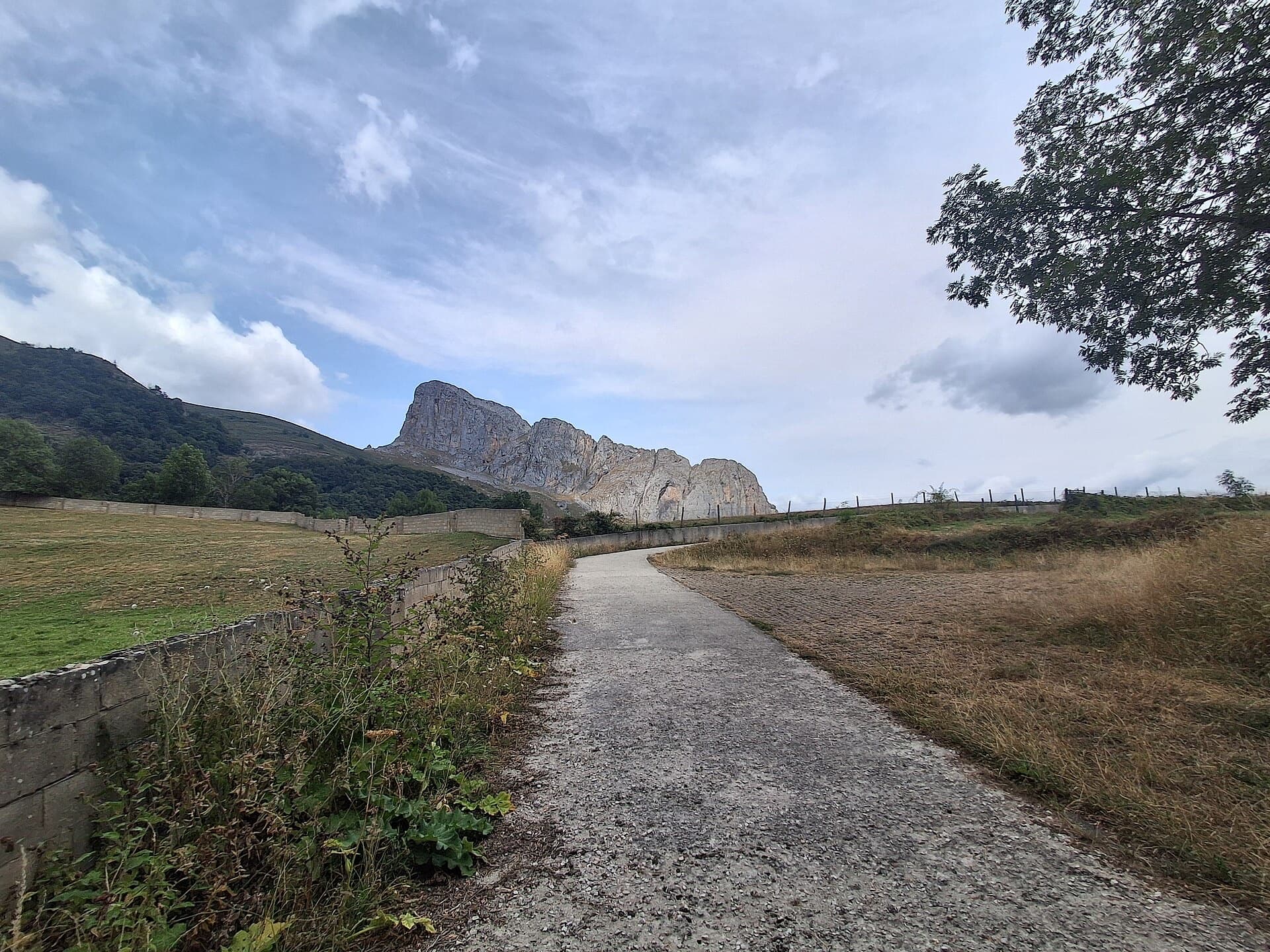 Peña Cigal rising above the meadows at Caloca, seen from the village in late July.