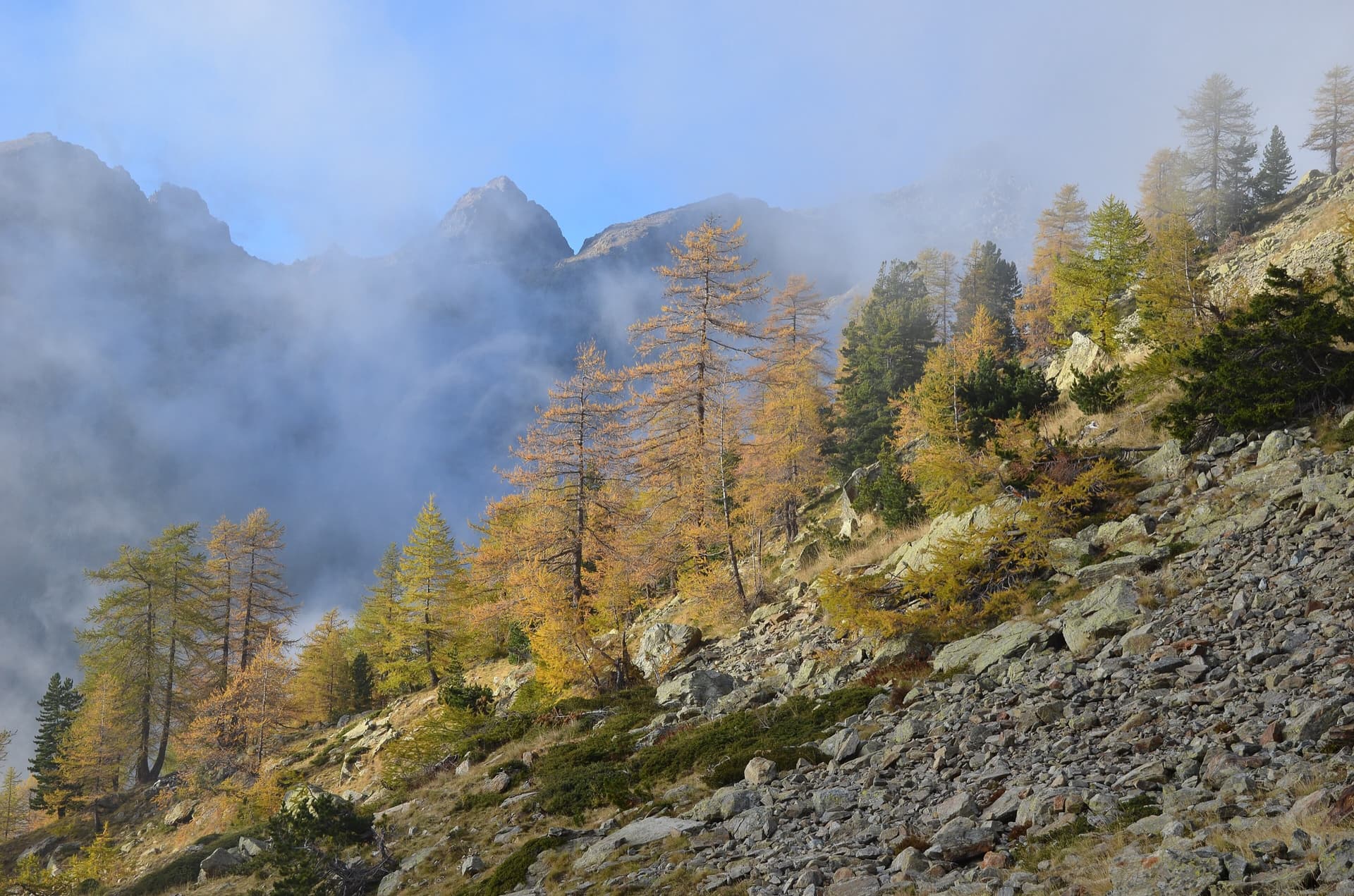 Autumn larches and gneiss peaks in drifting cloud in the Boréon valley above Saint-Martin-Vésubie.